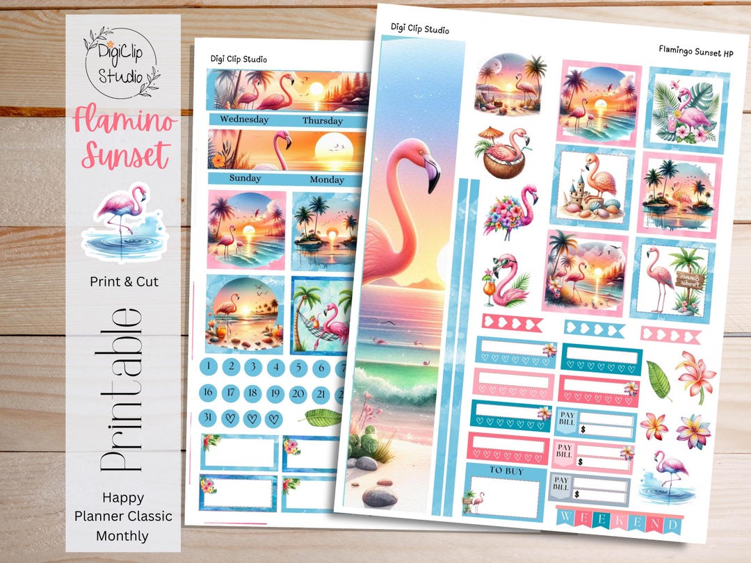 Flamingo Sunset Happy Planner Stickers Classic Monthly Kit Printable ...