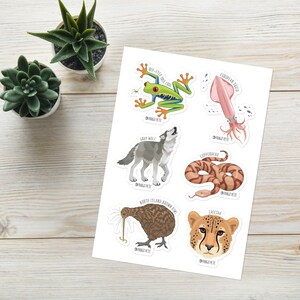 Variety Pack Sticker Sheet 3
