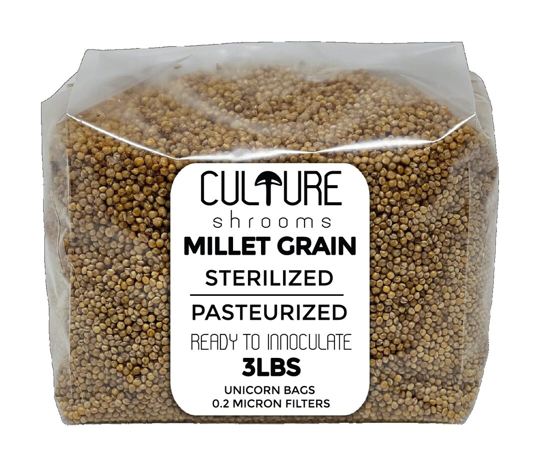 3 Lb Sterilized Millet Grain Mushroom Spawn Bags in Unicorn Etsy