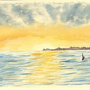 Summer Sunset