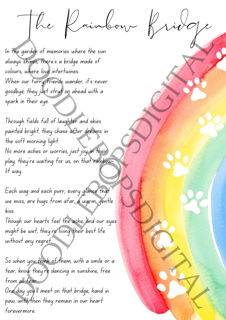 Rainbow Bridge Poem Cat Alternate Version Digital Print, Pet Kitten ...