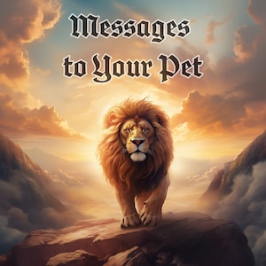 Op de afbeelding: Een majestueuze leeuw met een gouden manen staat op een rotsachtige klif en kijkt uit over een dramatisch landschap van wolken en bergen. De lucht is een levendig oranje en geel, wat een gevoel van ontzag en verwondering creëert. De tekst "Messages to Your Pet" staat bovenaan de afbeelding.