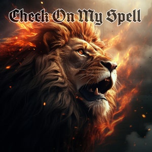 Check On My Spell - See How Spells Are Manifesting - Report with Energy Picked Up and Suggestions -