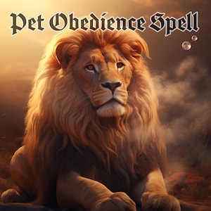 Può includere: Un maestoso leone con una criniera dorata e occhi penetranti è il punto focale di questa immagine. Il testo "Pet Obedience Spell" è visualizzato in un carattere ornato sopra il leone. Lo sfondo presenta un bagliore caldo, simile a un tramonto.