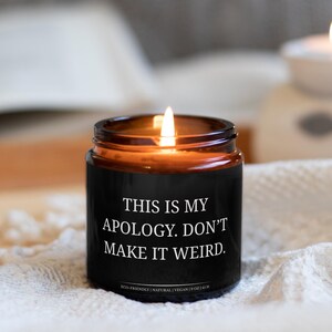 This Is My Apology – Don’t Make It Weird Candle, Apology Gift, Funny I’m Sorry Gift, Awkward but Sincere Candle, Friendship Couple Apology