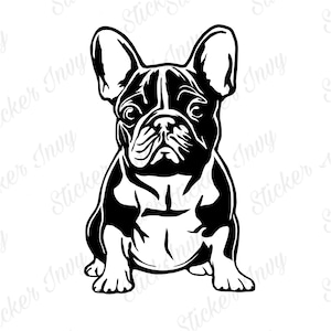 Bulldogue Francês SVG, PNG, Arquivo Digital Frenchie