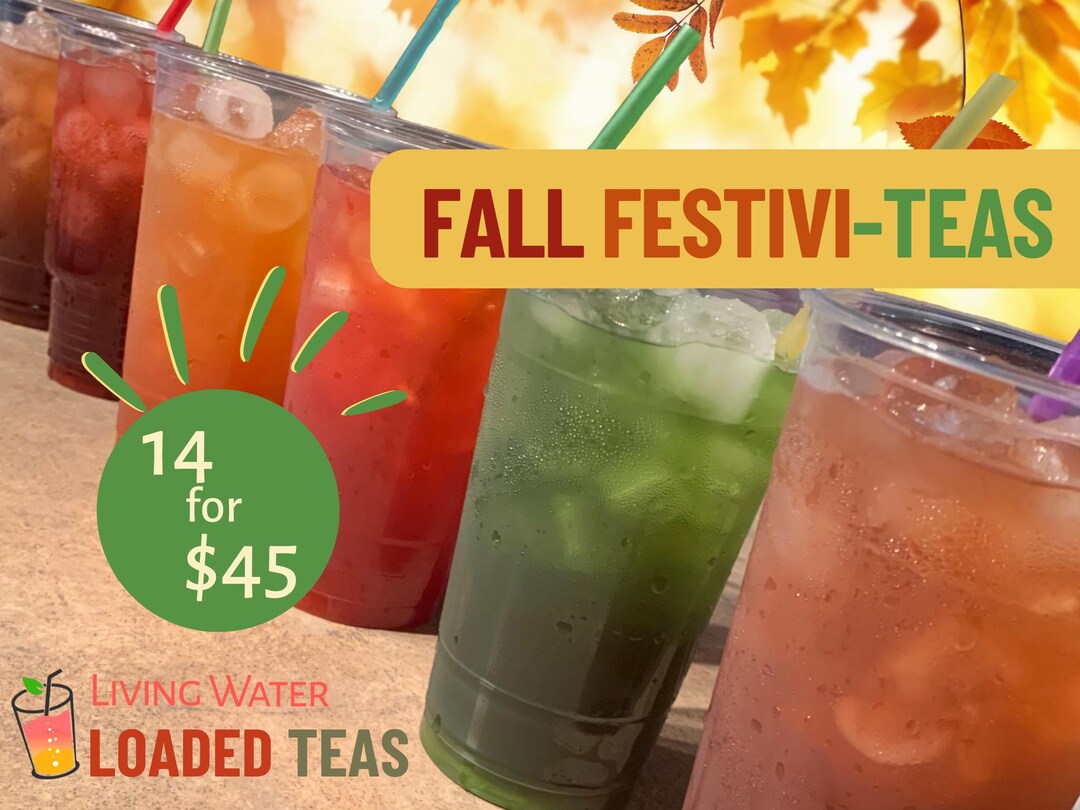 14 for 45 Fall Loaded Teas To-go - Etsy