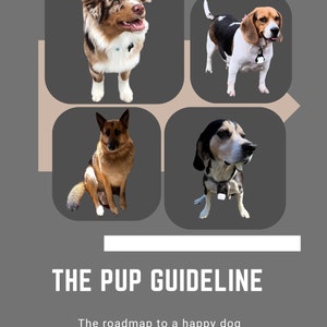 The Pup Club manual for dog ownership &quot;The Pup Guideline&quot;