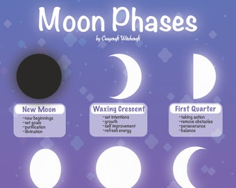DIGITAL DOWNLOAD: Moon Phases Infographic