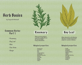 DIGITAL DOWNLOAD: Basic Herbs Part 1 Brochure