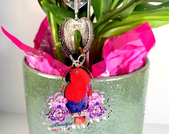 Female Eclectus plant sun catcher