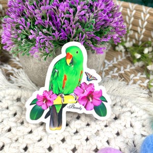 Eclectus Parrot Waterproof Clear Vinyl Sticker