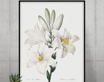 ピンクと白のグラジオラスのデジタルプリント、ヴィンテージフラワー