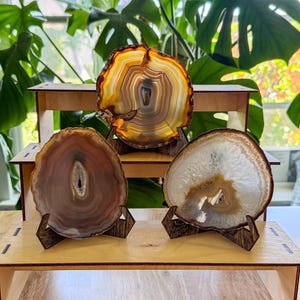 Natural Polished Agate Slice with Wood Stand, Agate Display, Crystal Decor, Geode Slice, Desk Decor, Unique Gift, Rock Collection, Boho