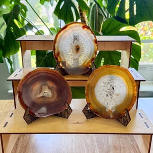 Natural Polished Agate Slice with Wood Stand, Agate Display, Crystal Decor, Geode Slice, Desk Decor, Unique Gift, Rock Collection, Boho