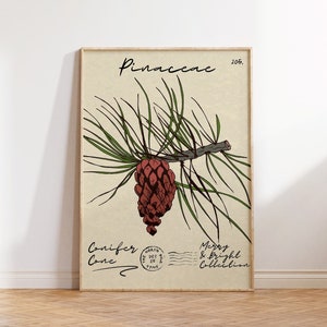 Impressão de Natal em estilo vintage, pôster de pinha, impressão de almanaque de Natal, arte de parede tradicional de inverno, impressão de cartão postal de Natal, download digital