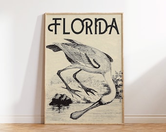 Vintage Florida American White Ibis Art Print (Digital Download)