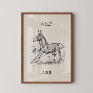 May include: A framed wall art print featuring a black ink line drawing of a donkey running through a field. The text NICE is printed above the donkey and the text ASS is printed below the donkey in a simple black sans-serif font on a beige background.