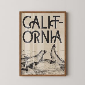 Vintage California Print, Sea Lion Wall Art, Coastal Animal Print (Digital Download)