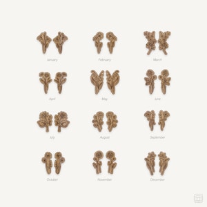 ARCHIVO DIGITAL Juego de 12 aretes con flores de nacimiento, cortador láser, archivo SVG de Glowforge, vector, violeta, margarita, rosa, peonía, icono floral, flor de lirio