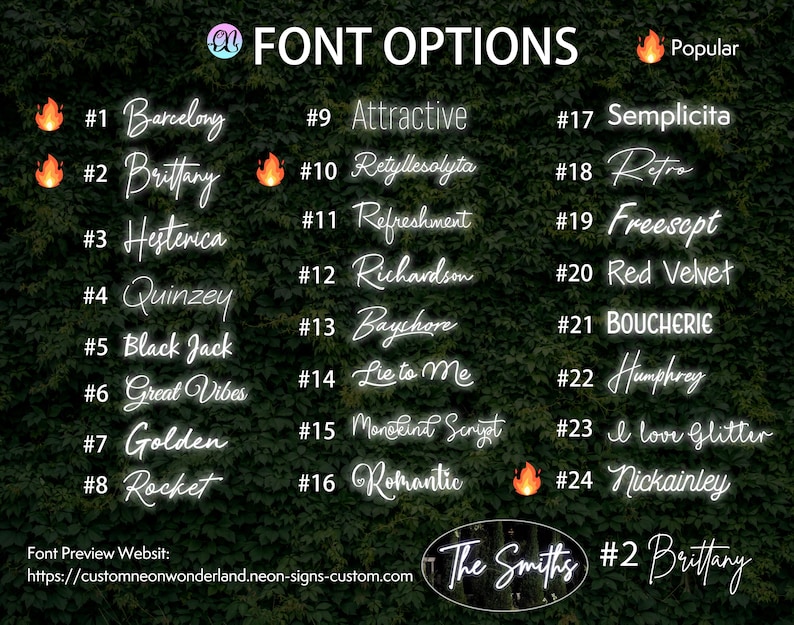Puede incluir: Un gr&aacute;fico digital titulado FONT OPTIONS que muestra veinticuatro muestras de texto numeradas en estilo ne&oacute;n blanco. Cada entrada muestra un nombre de tipograf&iacute;a &uacute;nico, incluyendo Barcelony, Brittany, Hesterica, Quinzey, Black Jack, Great Vibes, Golden y Rocket.