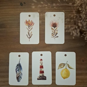 Etichette regalo Swing, confezione da 5. Stampa originale con design ad acquerello e retro bianco. 5 design diversi con spago