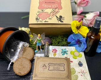 Fairy Garden - Wildflower Grow Kit⎪Grow Your Own Flowers⎪Attract Butterflies, Birds, Bees⎪Kids Starter Kit⎪Girl Gift⎪Pollinator Kit