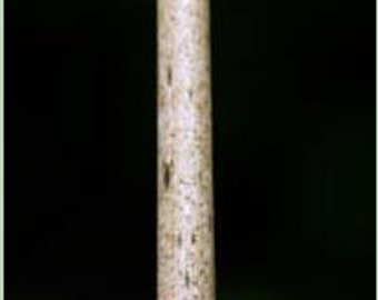 AMORPHOPHALLUS KONJAC "Beige Stem" One (1) 5.0 - 8.0 oz. Bulb - Voodoo Lily / Corpse Flower Bulb