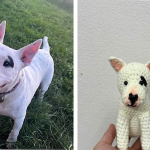 Benutzerdefinierte häkeln Hund, benutzerdefinierte gefüllter Hund, häkeln Haustier Gedenkstätte, Look Alike Hund, personalisierte Hund, Geschenk für Hundeliebhaber, benutzerdefinierte Plüschtier