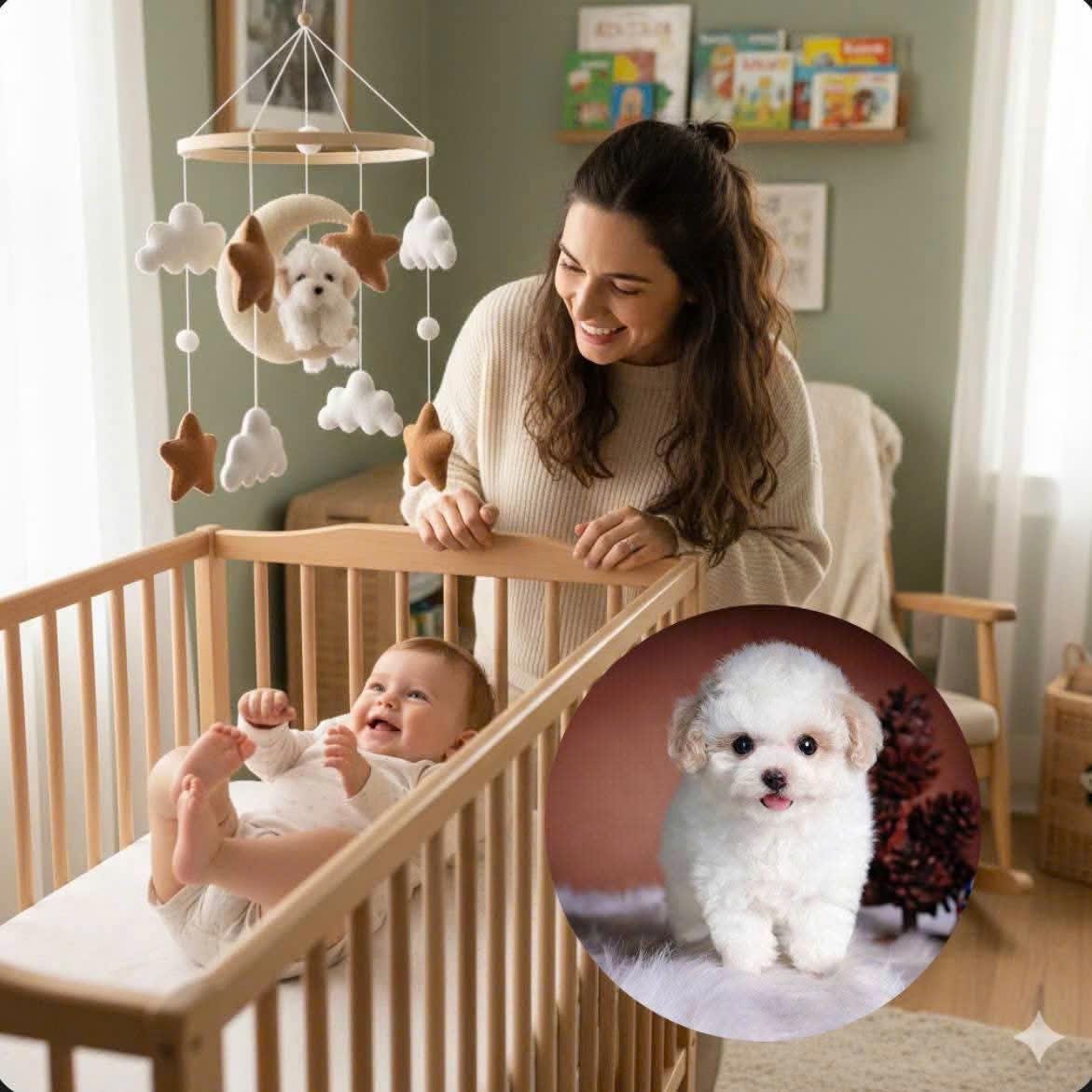 Custom Crochet Dog, Custom Baby Mobile, Crib mobile, Nursery Decor, Nursery Baby Mobile, baby shower, baby nursery, baby room decor