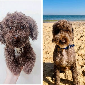 Custom Stuffed Dog, Custom Stuffed Animal, Custom Dog Plush, Custom Pet Plush, Personalized Dog Gift, Pet Memorial Plush, Dog Replica