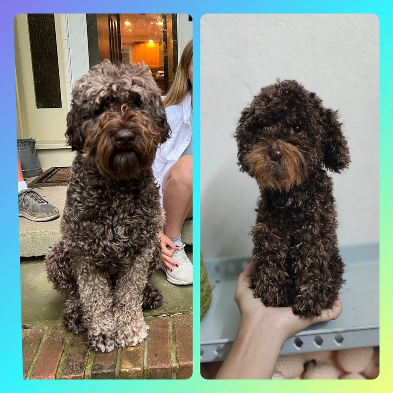 Custom Stuffed Dog, Custom Dog Plush, Custom Crochet Dog, Custom Pet Plush, Custom Stuffed Animal, Personalized Pet Gift, Dog Mom, Dog Dad image 3