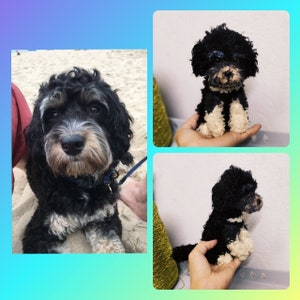 Custom Stuffed Dog, Custom Dog Plush, Custom Crochet Dog, Custom Pet Plush, Custom Stuffed Animal, Personalized Pet Gift, Dog Mom, Dog Dad image 8