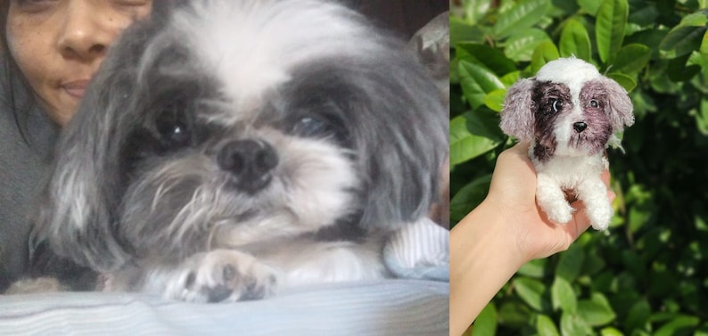 May include: A close-up of a small, white and gray Shih Tzu dog with long, fluffy hair. The dog is looking at the camera with its tongue slightly sticking out.