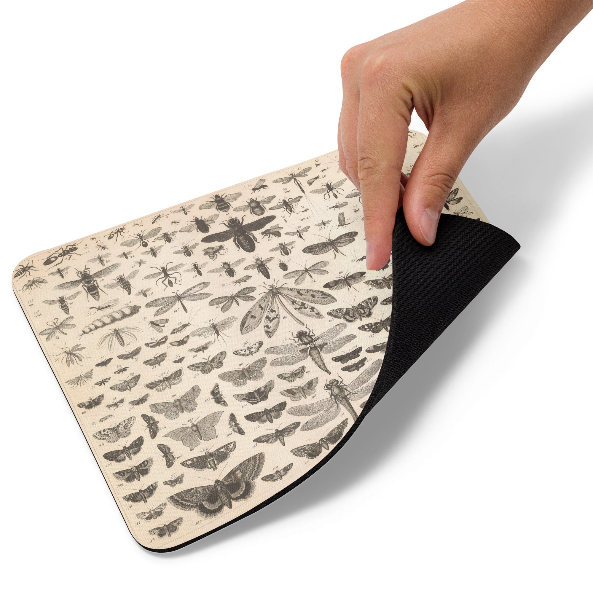 Sendpad Insect Vintage Insects Butterfly Bees Wasps Mouse Pad - Etsy