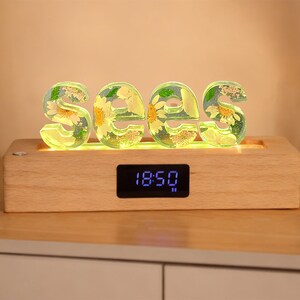 Real flower nightlight,custom name initial bluetooth speaker wooden base lamp,7 color light,anniversary christmas birthday unique gift image 7