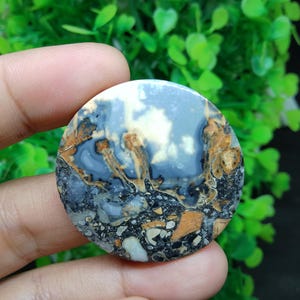 Puede incluir: Cabujón redondo de piedra pulida con un patrón único de negro, blanco, marrón y gris. La piedra tiene un aspecto moteado y jaspeado.