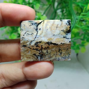 madera petrificada opalizada escénica