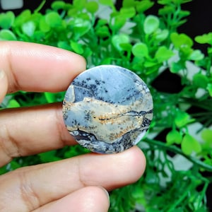 Puede incluir: Una piedra redonda, plana, gris, blanca y marrón con un patrón dendrítico. La piedra tiene un diámetro de aproximadamente 5 cm.