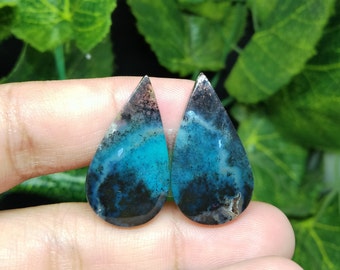 Pair blue opalized petrified wood