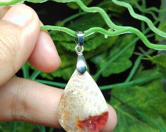 Fossil Coral Teardrop Pendant
