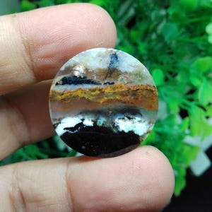 オパール化した化石木 - Etsy 日本
