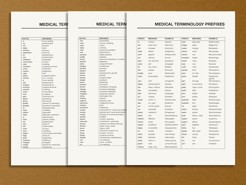 Printable Medical Terminology List Pdf Medical Prefixes and Etsy