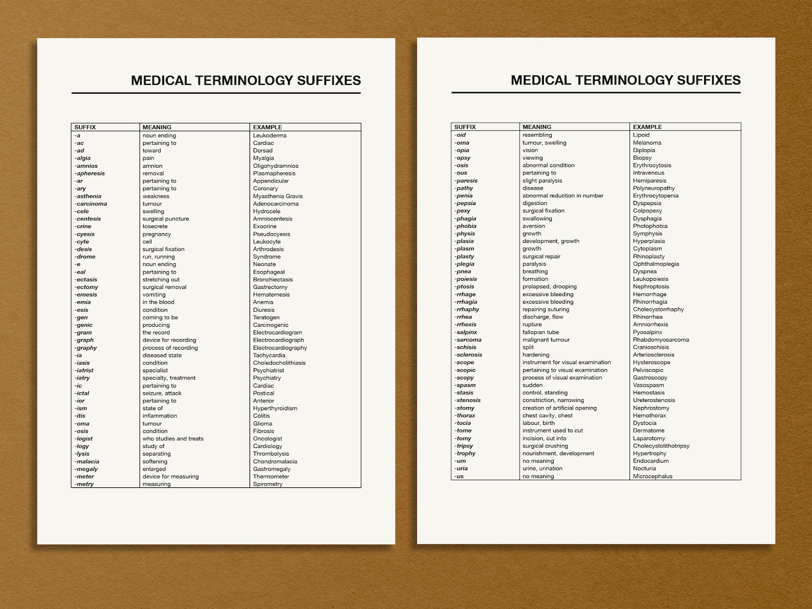 Medical terminology list printable pdf medical prefixes and suffixes