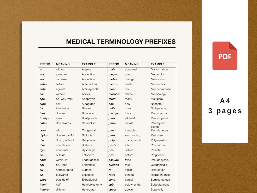 medical terminology assignment