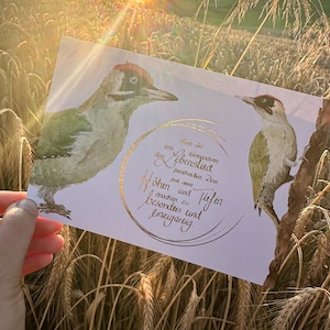 Karte Grünspecht Natur Gold moni goes wild