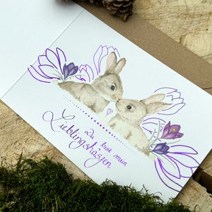 Karte Hase Wildtiere Pink moni goes wild