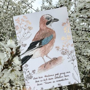 Karte Grußkarte Postkarte Eichelhäher Träume verwirklichen Persönlichkeitsentwicklung