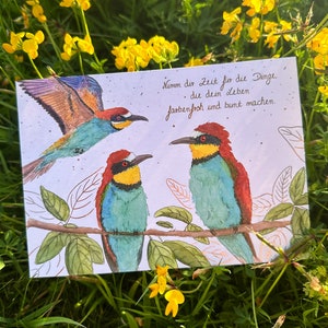 Karte Grußkarte Bienenfresser Vogel bunt