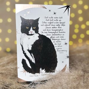 Grußkarte schwarze Katze Kater Persönlichkeitsentwicklung Botschaft der Tiere moni goes wild rosegold